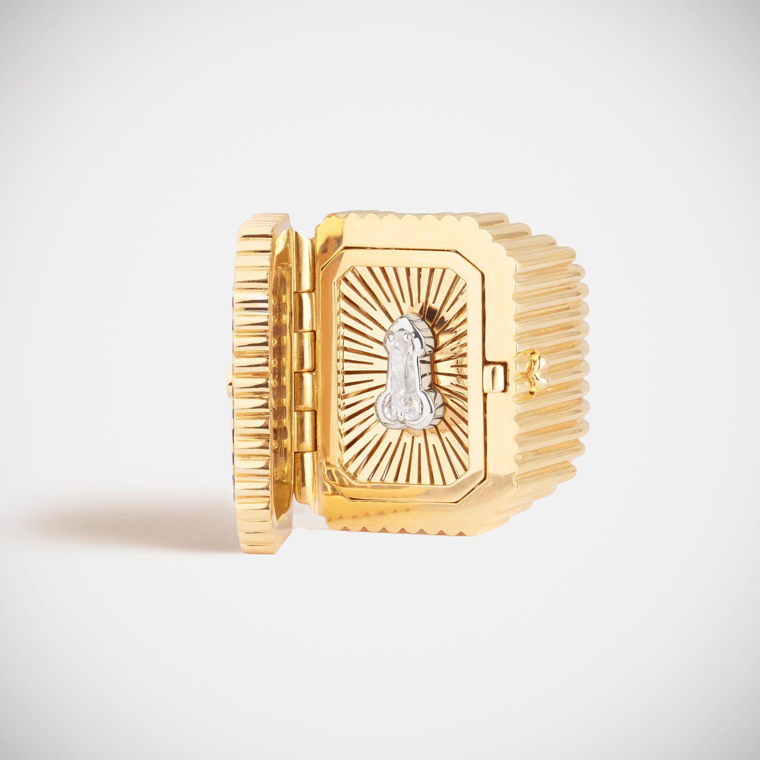 Marie Lichtenberg Staging Ring Dick in a box ring