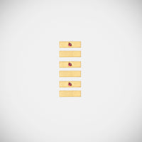 Marie Lichtenberg Staging Baby locket Micro coco ruby locket necklace