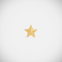 Marie Lichtenberg Staging Earring Star Stud Earring